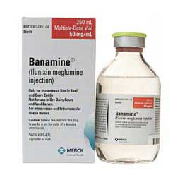  - Inflammation and Pain
